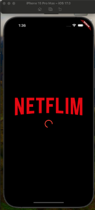 TP 8 Netflim